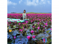 RED LOTUS SEA (TALAY BUA DAENG)