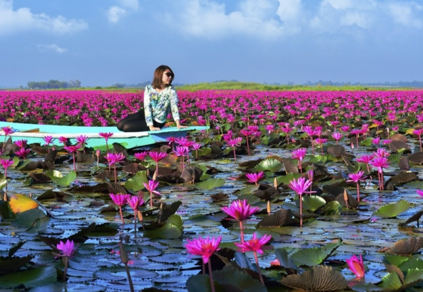 RED LOTUS SEA (TALAY BUA DAENG) (2)